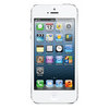 Apple iPhone 5 16Gb white - Нововоронеж