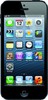Apple iPhone 5 16GB - Нововоронеж