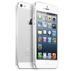 Apple iPhone 5 64Gb white - Нововоронеж